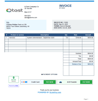 Invoice with Pay Now button